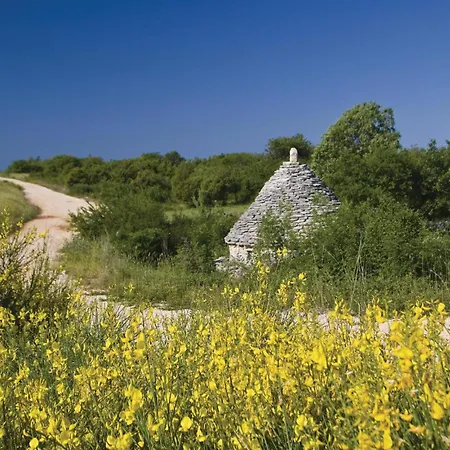 Lovely In With Outdoor Swimming Pool Holiday home *